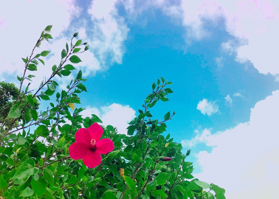 沖縄